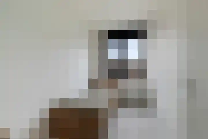 Kerkweg 27 b Berkenwoude thumbnail 19