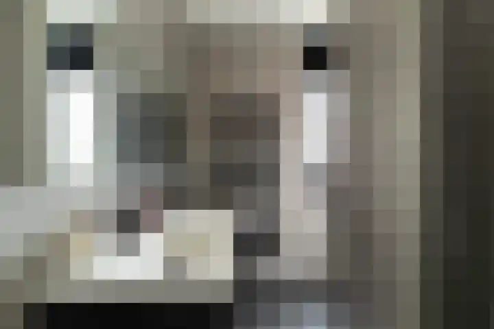 Kerkweg 27 b Berkenwoude thumbnail 25