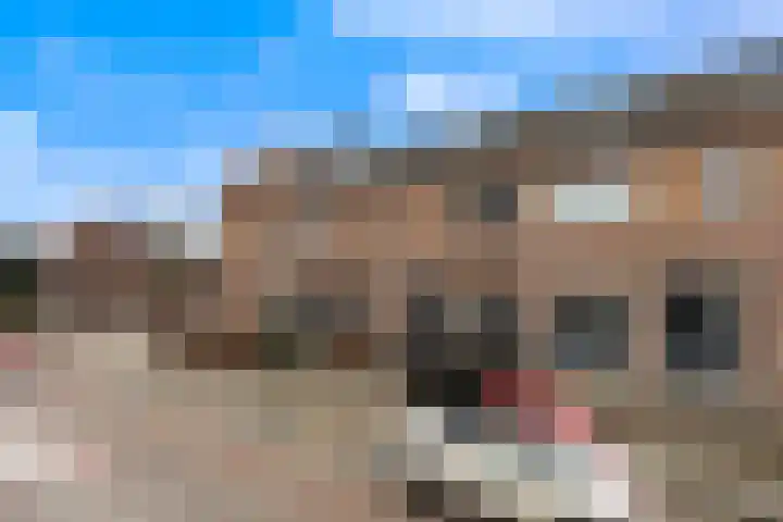 Kerkweg 27 b Berkenwoude thumbnail 35