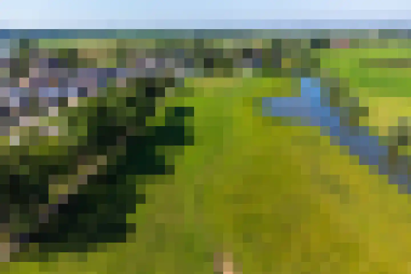 Kerkweg 28 a Cothen thumbnail 10