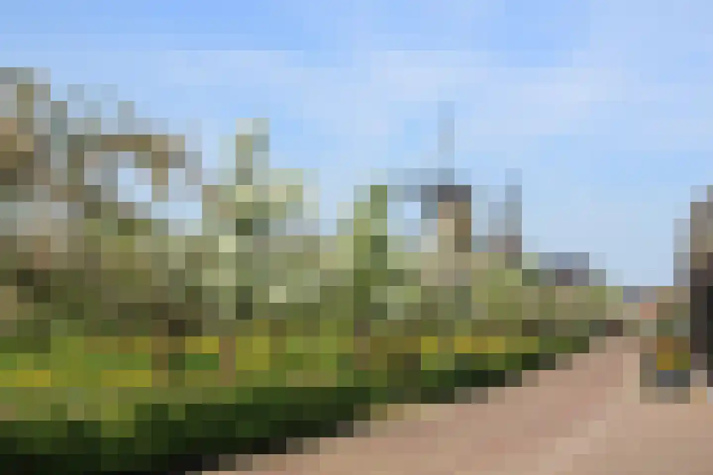 Kerkweg 28 a Cothen thumbnail 13