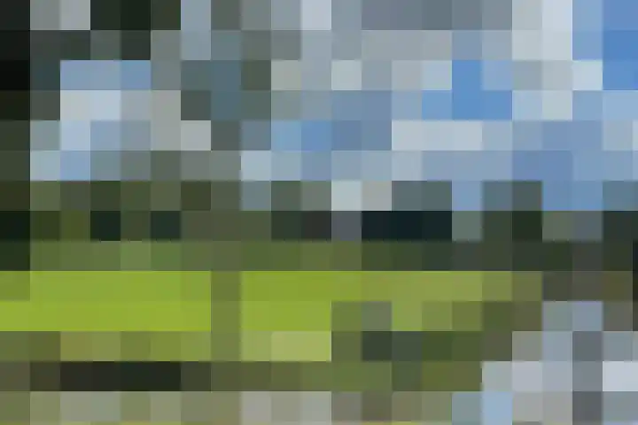 Kerkweg 28 a Cothen thumbnail 17