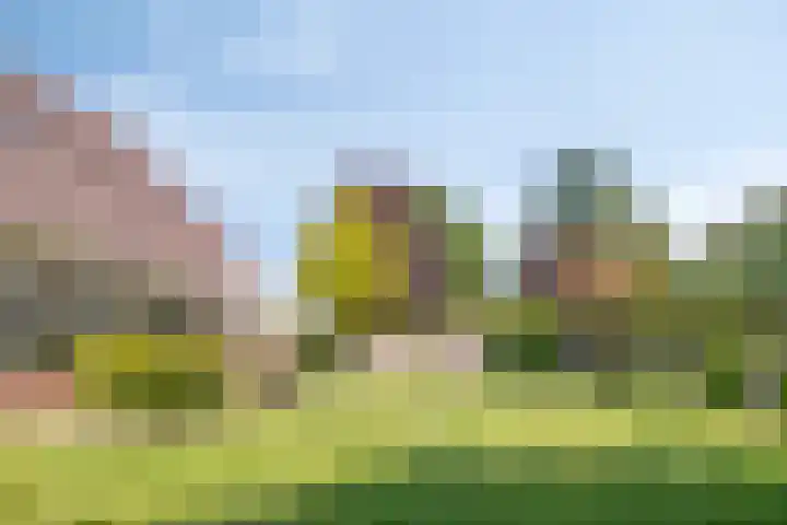 Kerkweg 28 Aadorp thumbnail 21