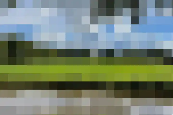 Kerkweg 28 b Cothen thumbnail 15