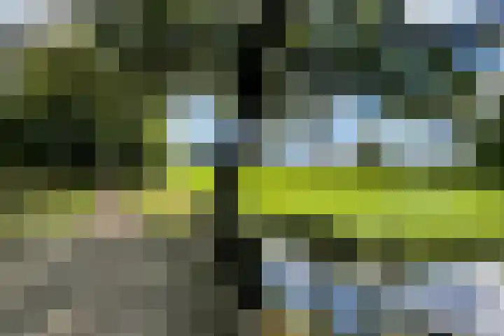 Kerkweg 28 b Cothen thumbnail 16