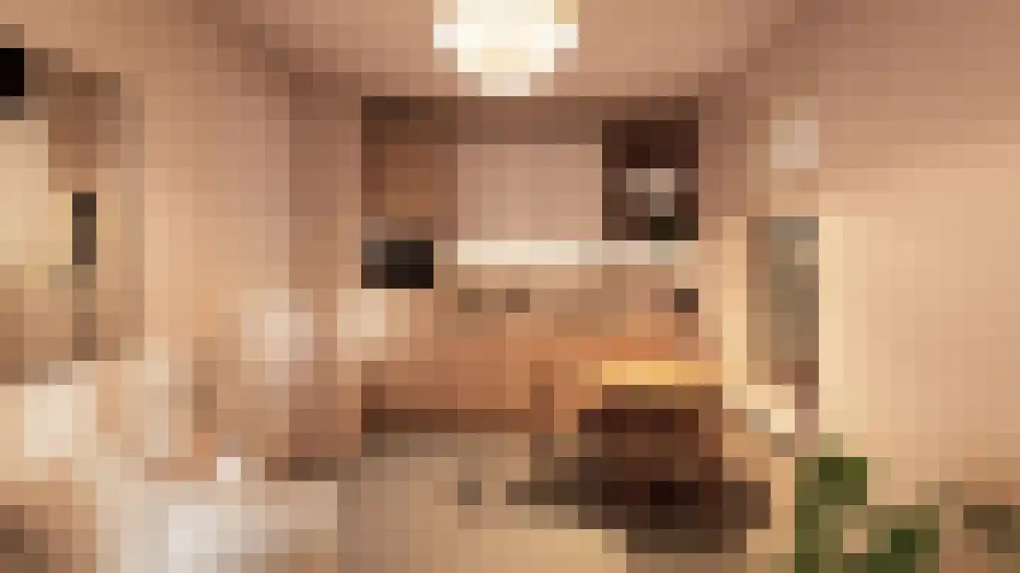 Kerkweg 28 b Cothen thumbnail 6