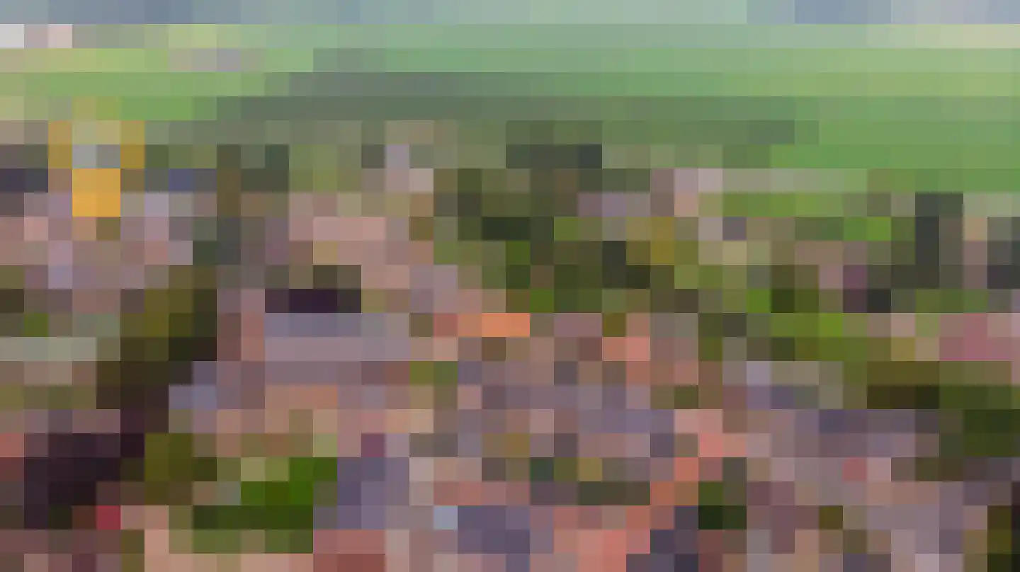 Kerkweg 28 b Cothen thumbnail 8