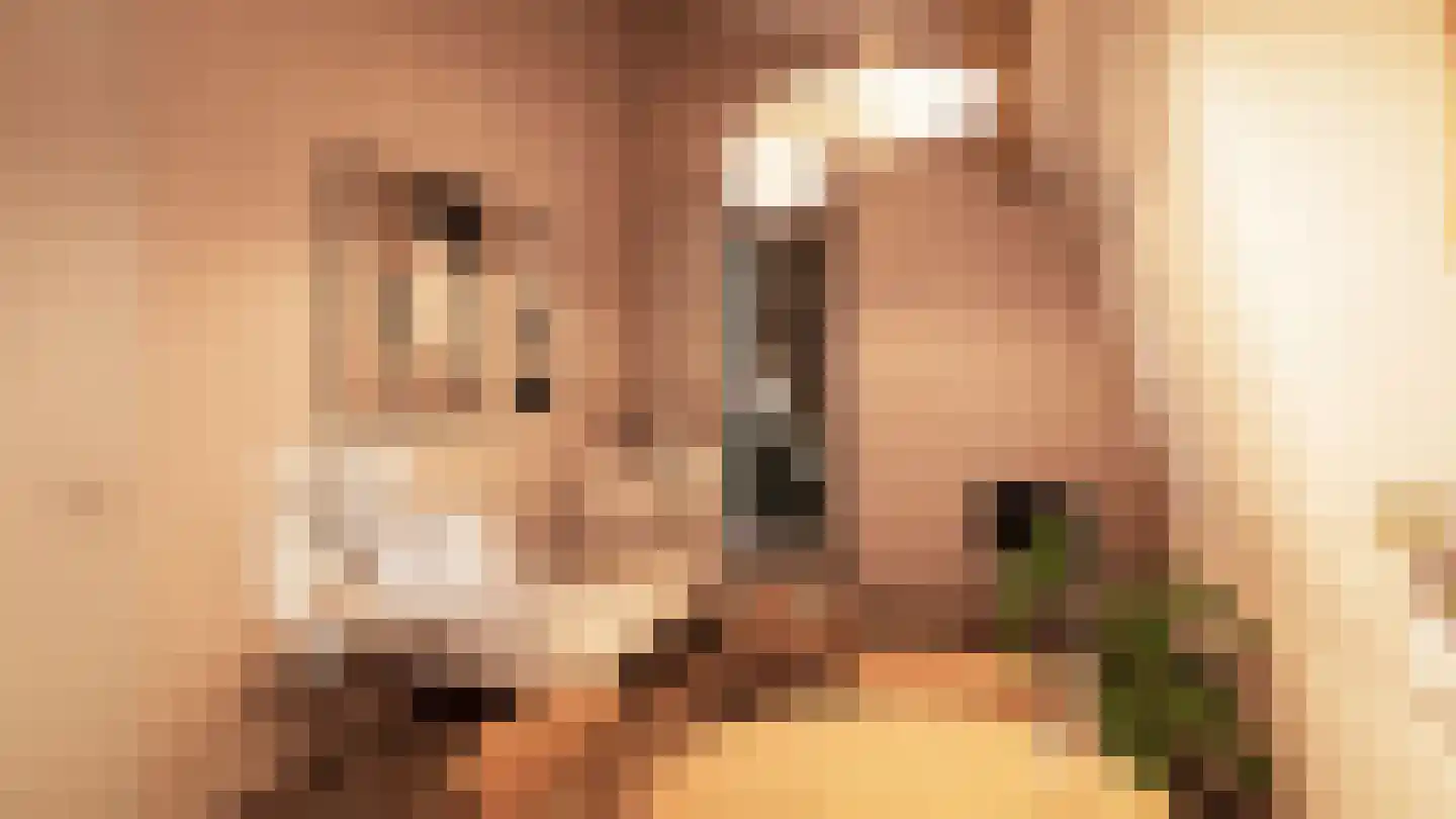 Kerkweg 28 c Cothen thumbnail 7