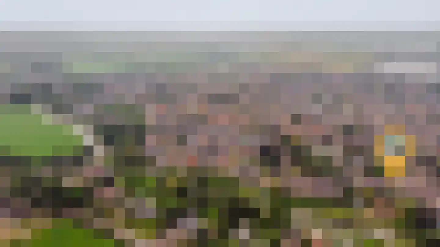 Kerkweg 28 c Cothen thumbnail 9
