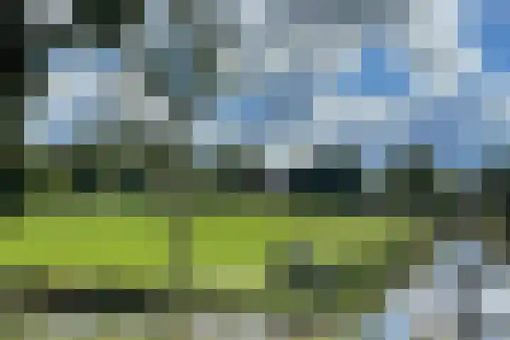 Kerkweg 28 d Cothen thumbnail 17