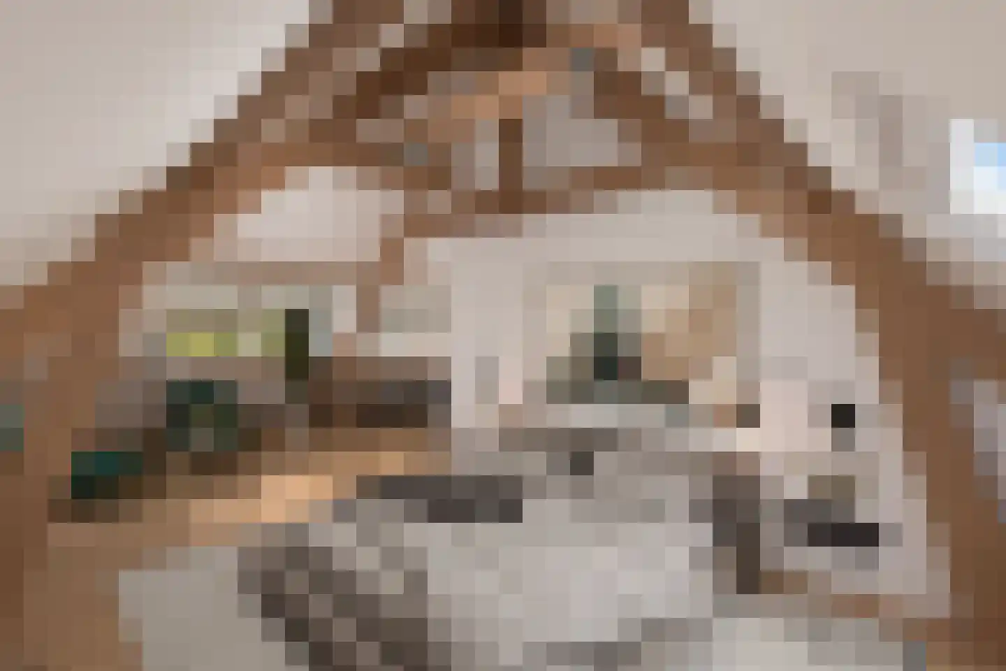 Kerkweg 28 Pijnacker thumbnail 10