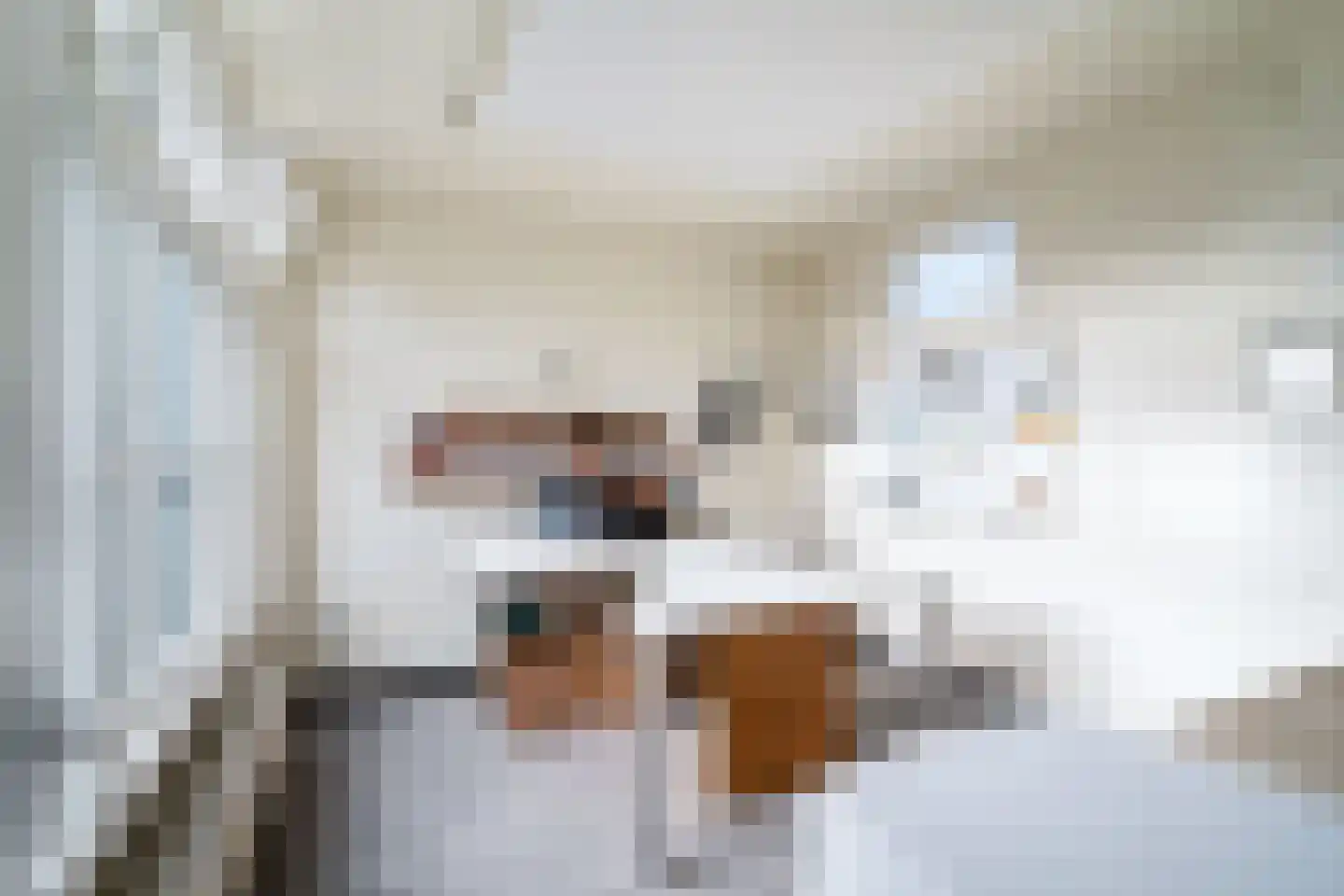 Kerkweg 28 Pijnacker thumbnail 40