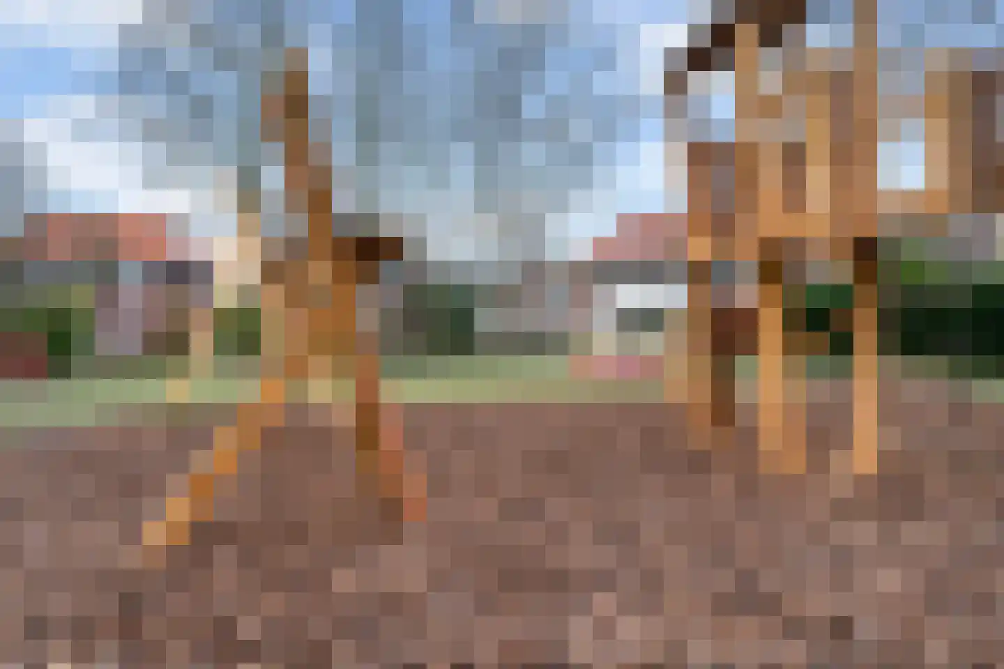 Kerkweg 28 Pijnacker thumbnail 45