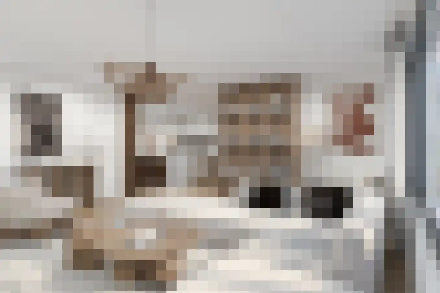 Kerkweg 28 Pijnacker thumbnail 8