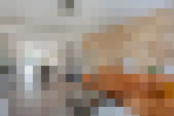 Kerkweg 28 Ruinerwold thumbnail 14