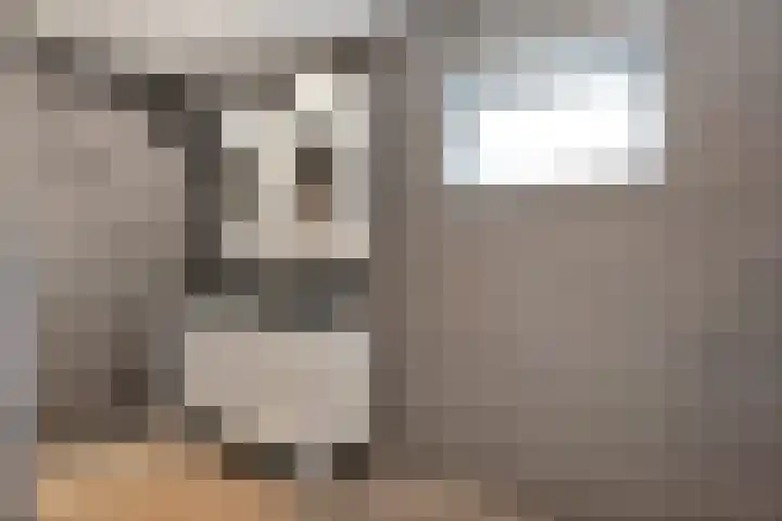 Kerkweg 28 Ruinerwold thumbnail 24