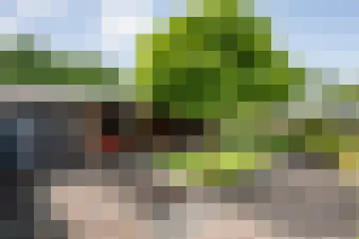 Kerkweg 28 Ruinerwold thumbnail 31