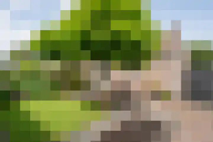 Kerkweg 28 Ruinerwold thumbnail 32