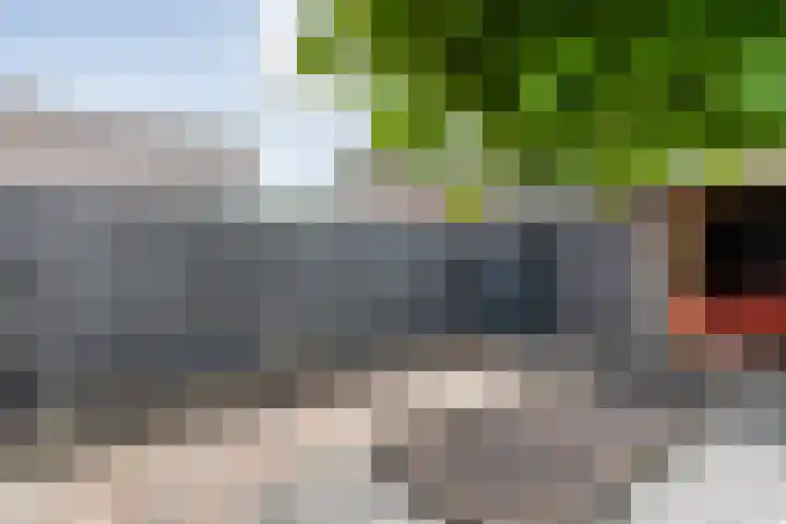 Kerkweg 28 Ruinerwold thumbnail 33