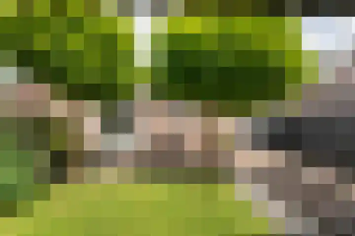 Kerkweg 28 Ruinerwold thumbnail 36