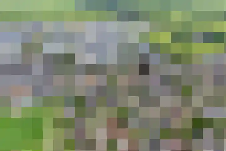 Kerkweg 28 Ruinerwold thumbnail 38
