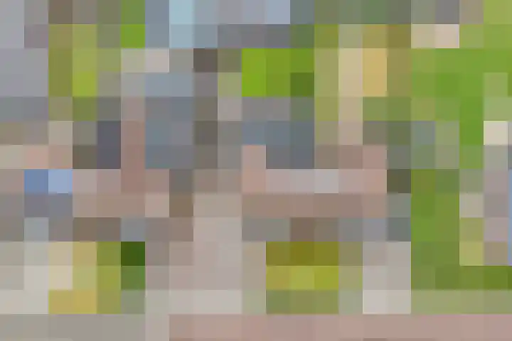 Kerkweg 28 Ruinerwold thumbnail 39