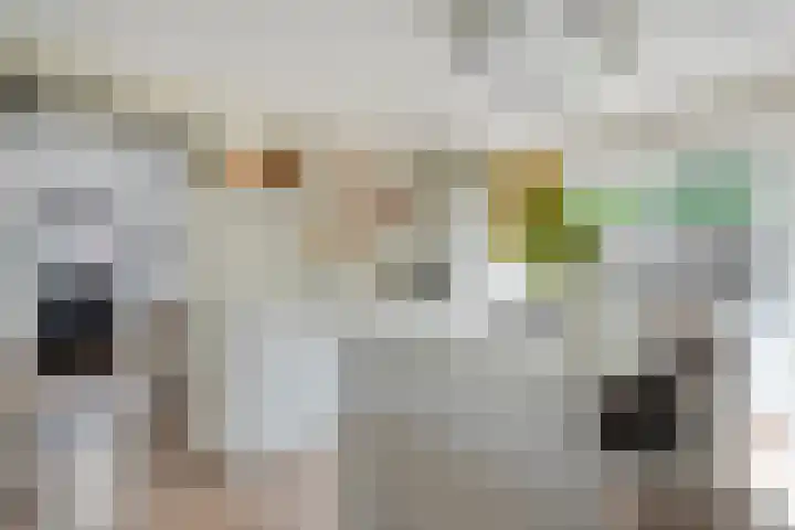 Kerkweg 28 Ruinerwold thumbnail 4