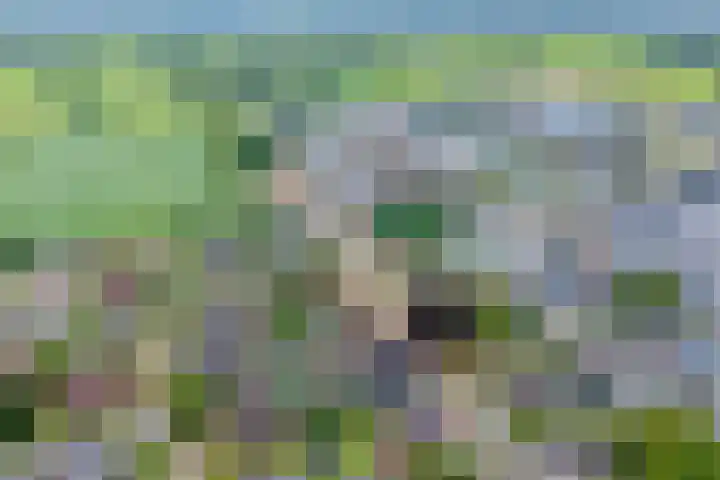 Kerkweg 28 Ruinerwold thumbnail 5