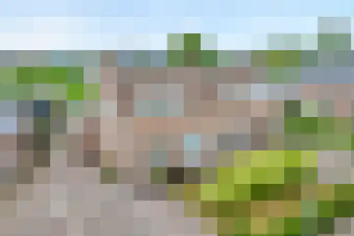 Kerkweg 28 Ruinerwold thumbnail 6