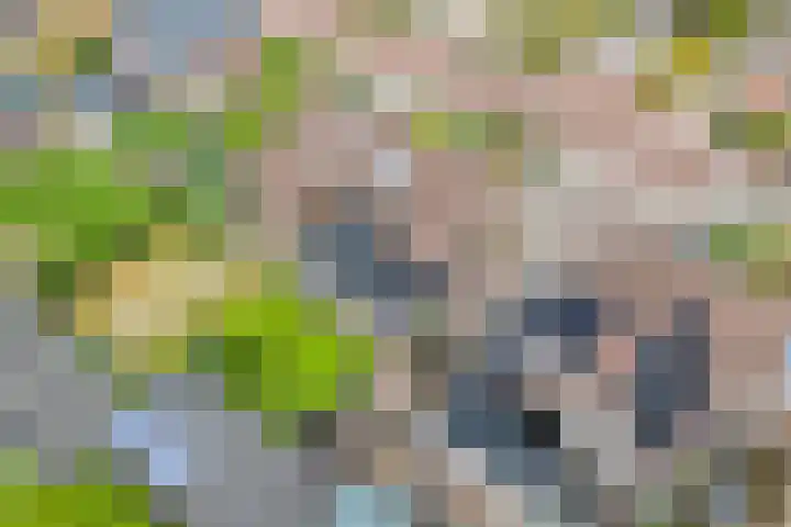 Kerkweg 28 Ruinerwold thumbnail 8