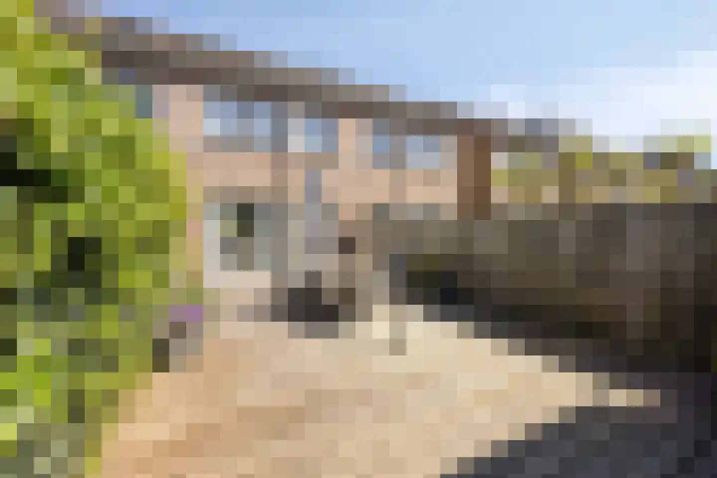 Kerkweg 29 a Berkenwoude thumbnail 22