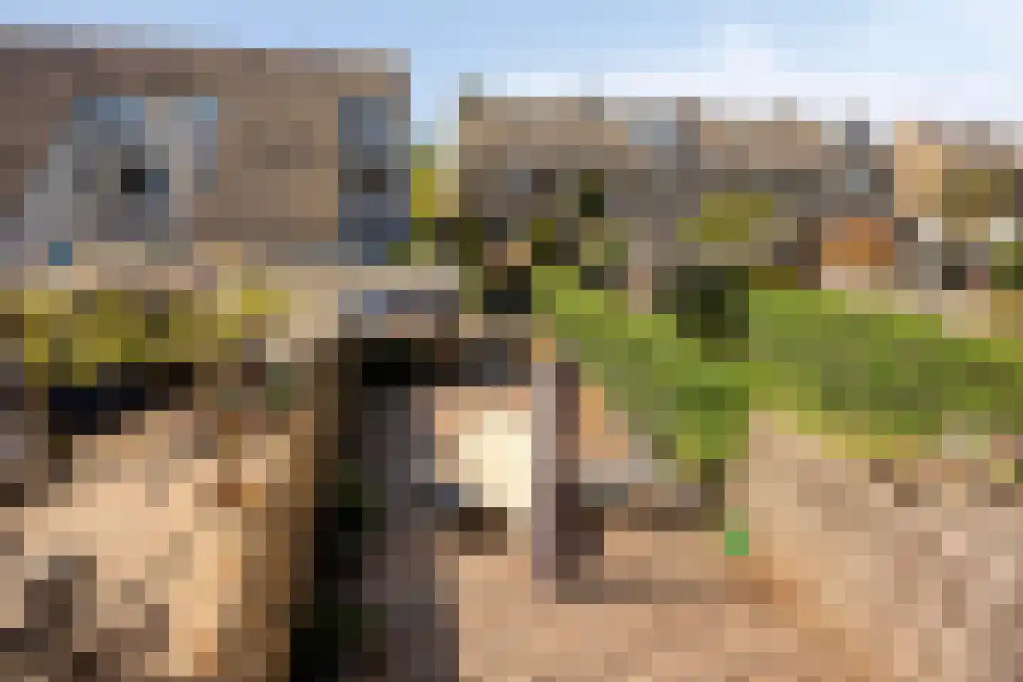 Kerkweg 29 a Berkenwoude thumbnail 23