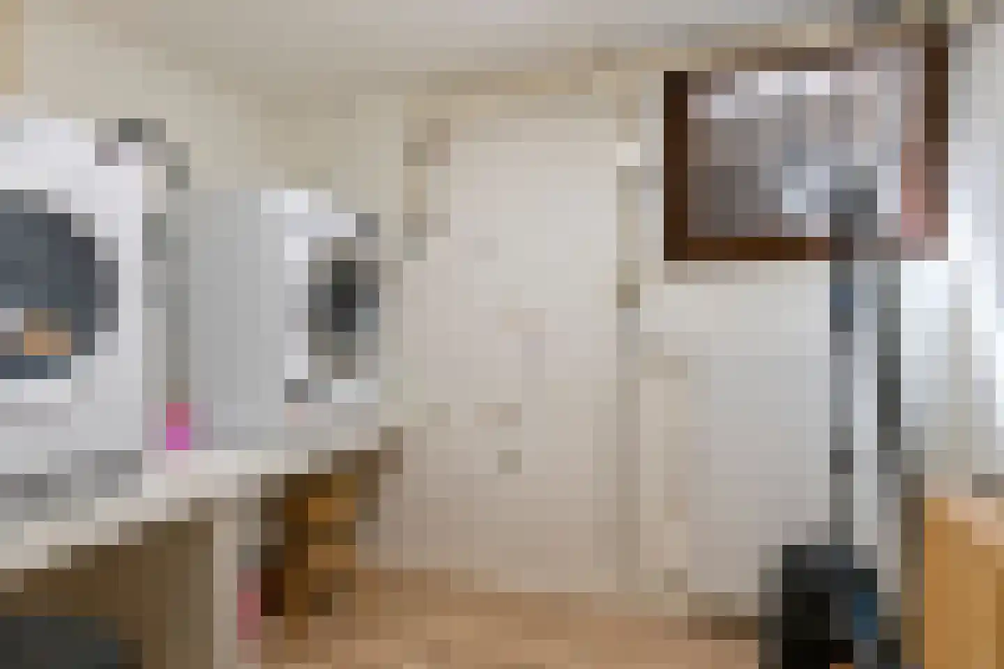 Kerkweg 3 A Heelsum thumbnail 58