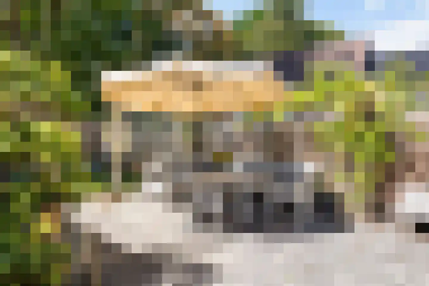 Kerkweg 3 A Heelsum thumbnail 67