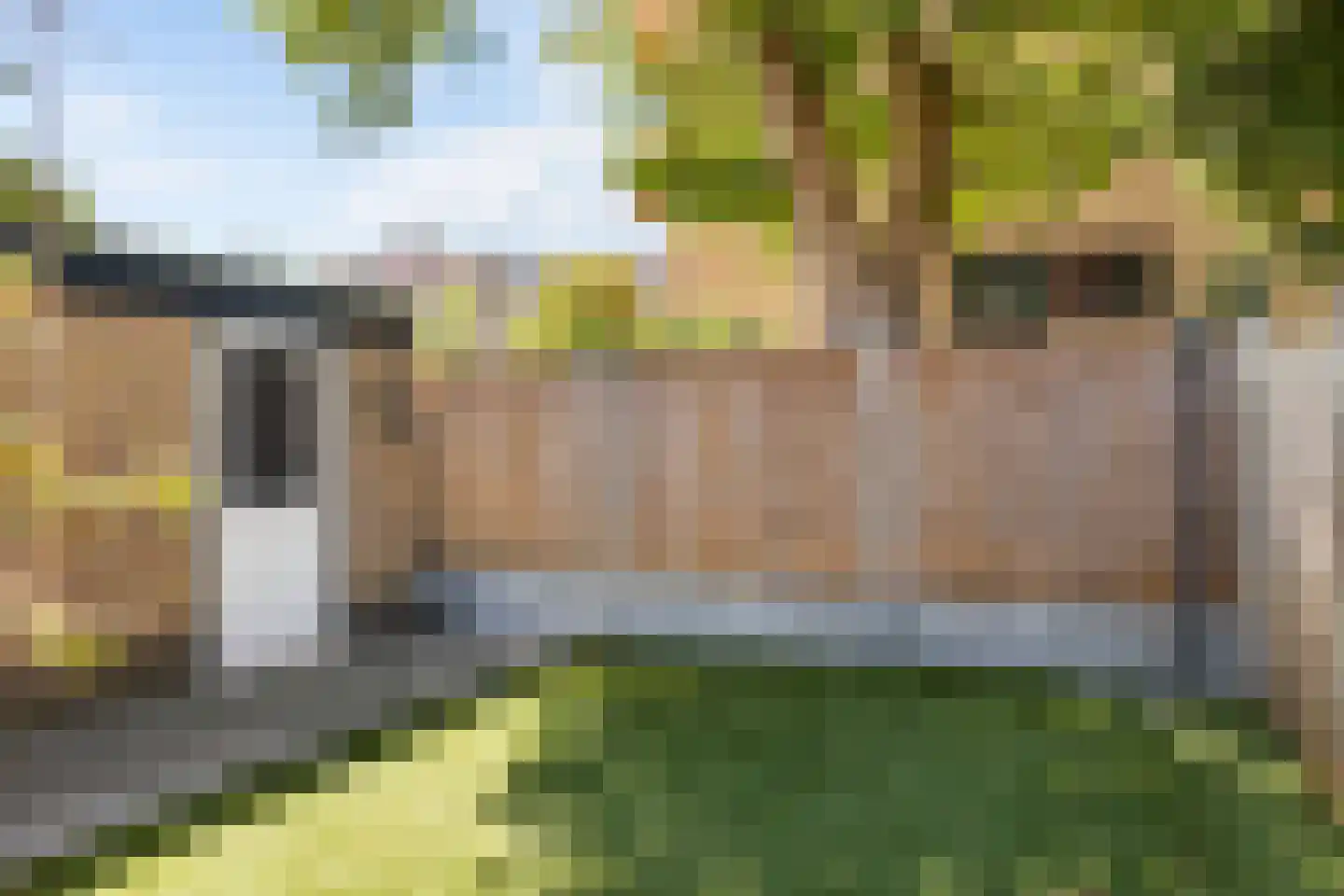 Kerkweg 3 A Heelsum thumbnail 69
