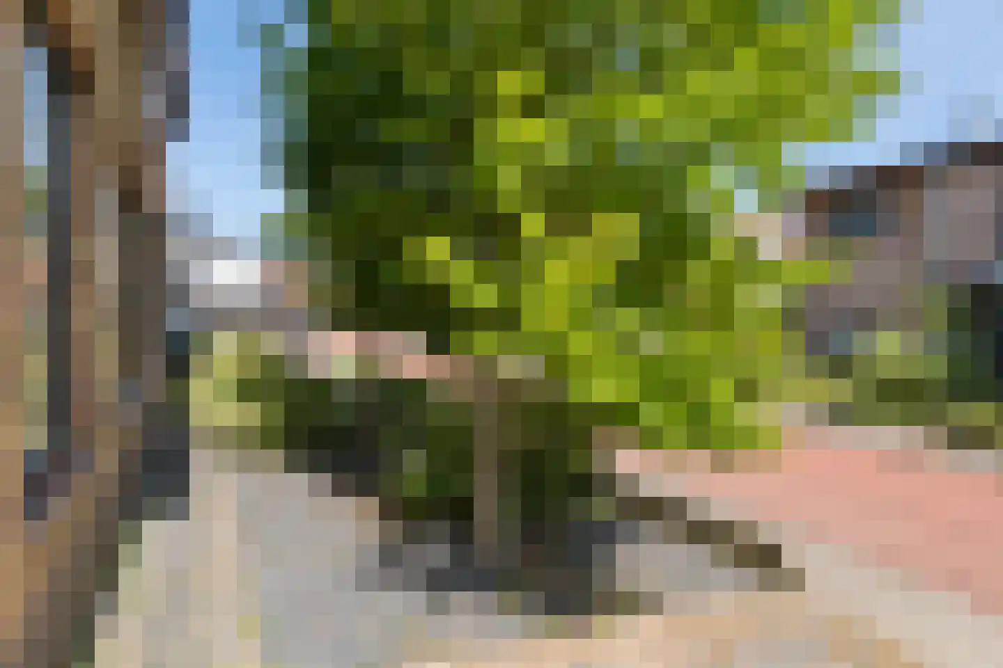 Kerkweg 3 A Heelsum thumbnail 71
