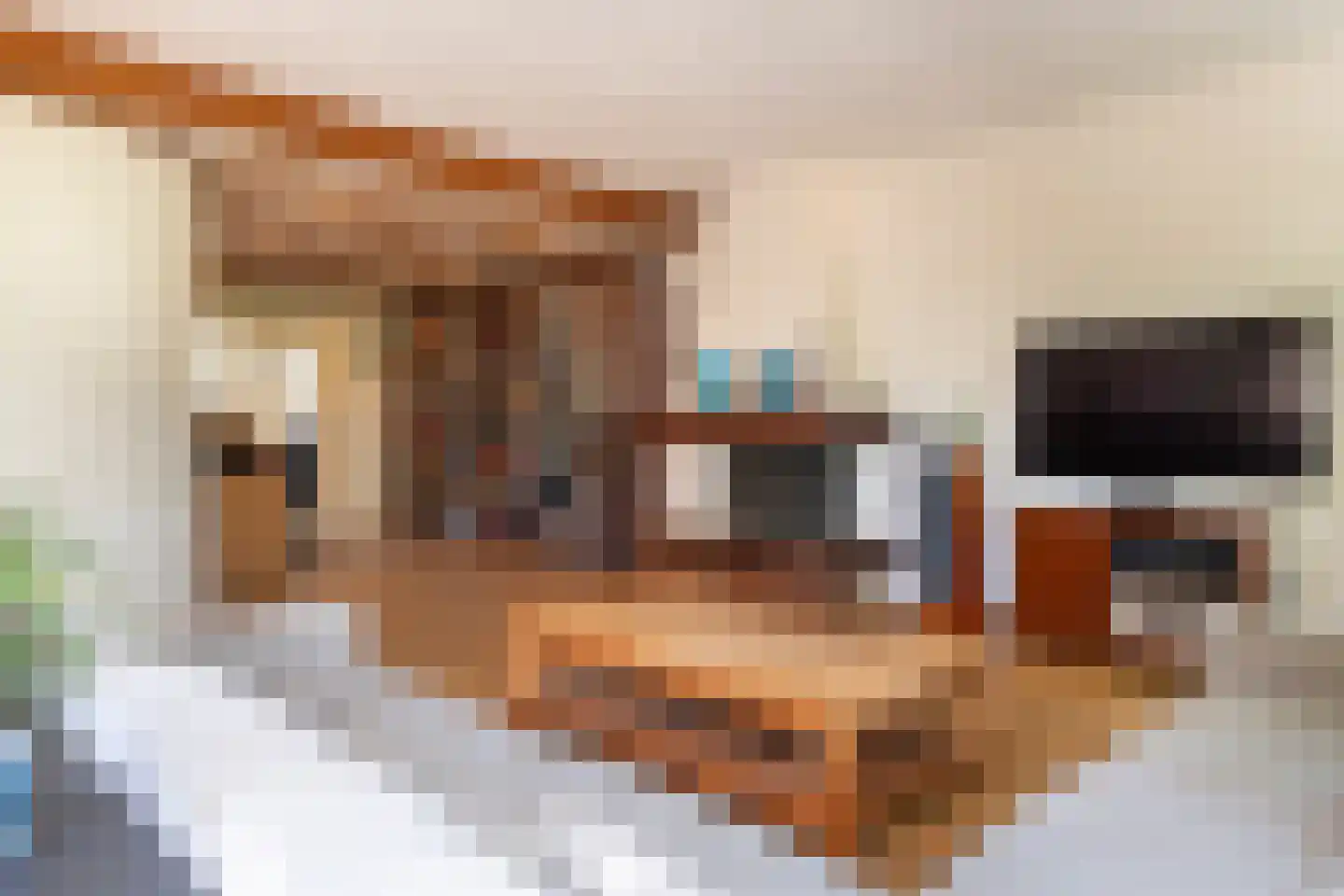 Kerkweg 3 A Heelsum thumbnail 9