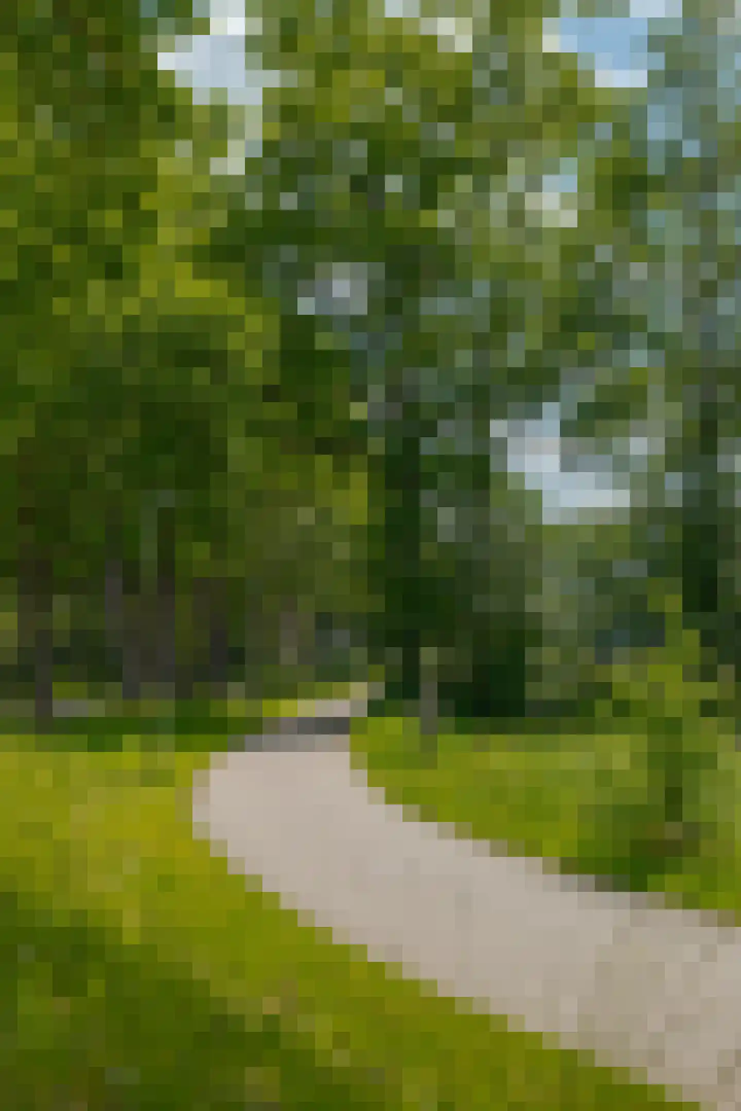 Kerkweg 3 IJhorst thumbnail 32