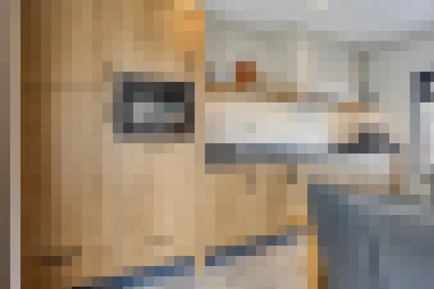 Kerkweg 3 Ysselsteyn thumbnail 18