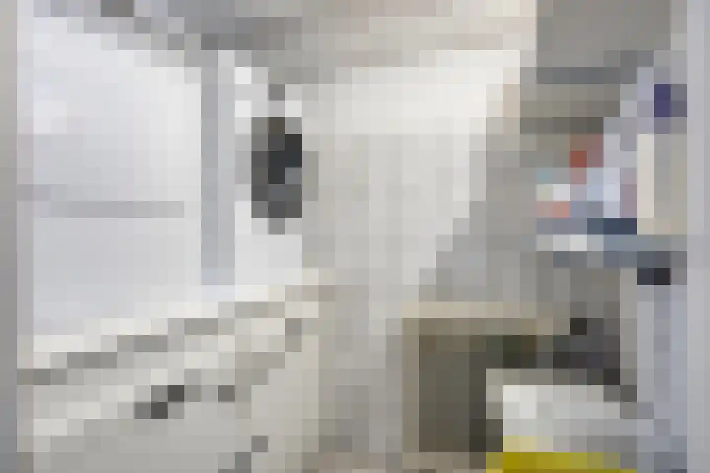 Kerkweg 3 Ysselsteyn thumbnail 61