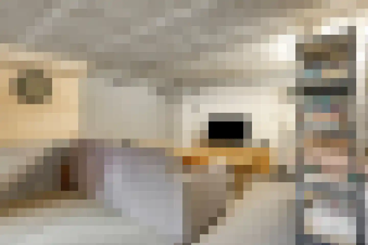 Kerkweg 3 Ysselsteyn thumbnail 63