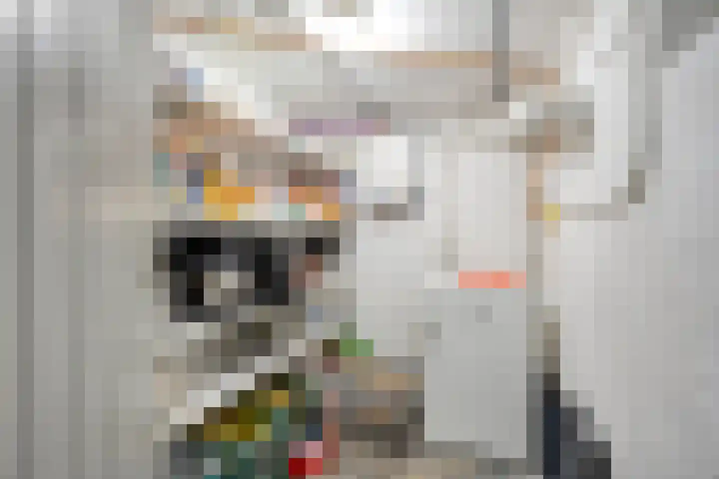 Kerkweg 3 Ysselsteyn thumbnail 66