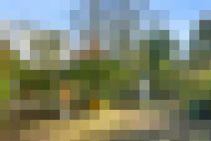Kerkweg 3 Zeist thumbnail 14