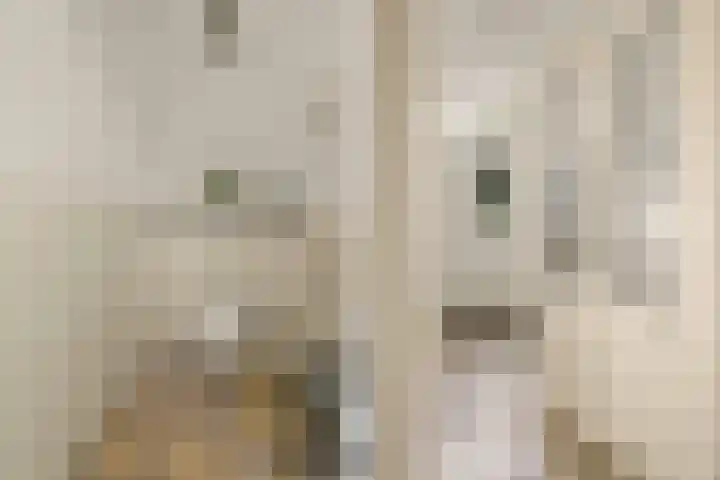 Kerkweg 3 Zeist thumbnail 4