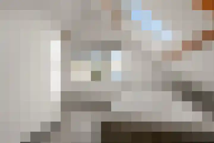 Kerkweg 3 Zeist thumbnail 42