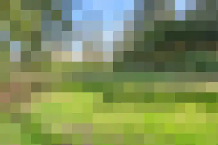 Kerkweg 3 Zeist thumbnail 44