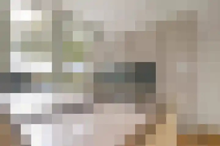 Kerkweg 3 Zeist thumbnail 6