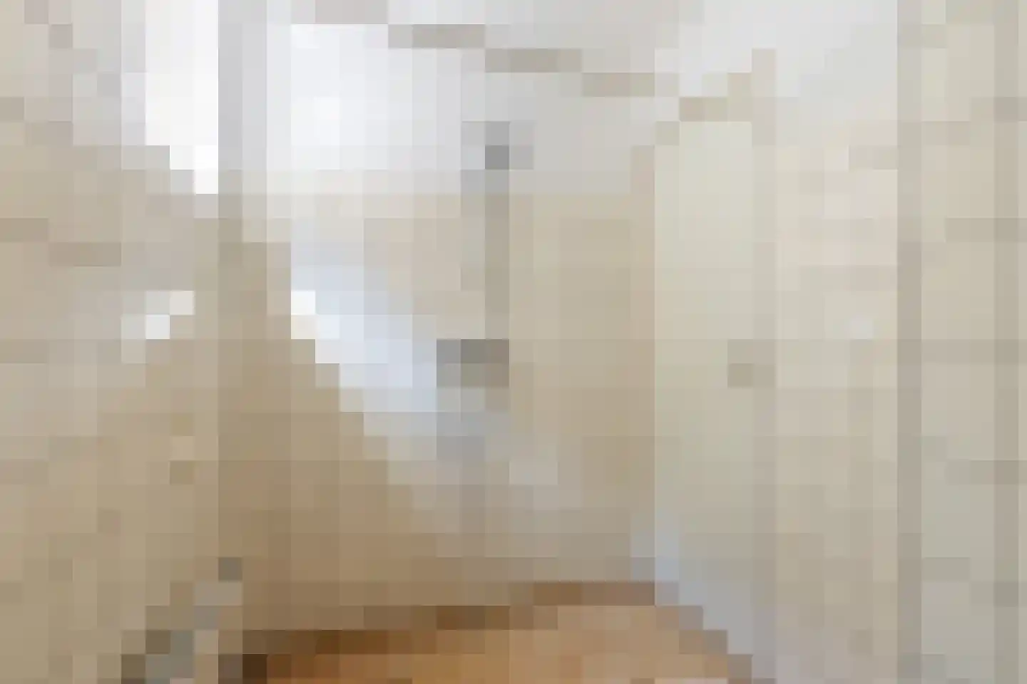 Kerkweg 30 Lekkerkerk thumbnail 12
