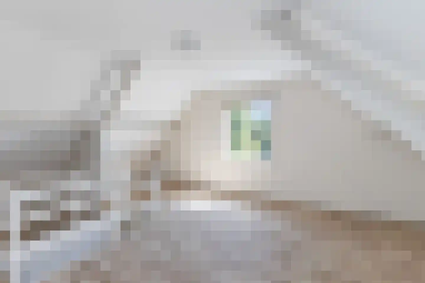 Kerkweg 30 Lekkerkerk thumbnail 25