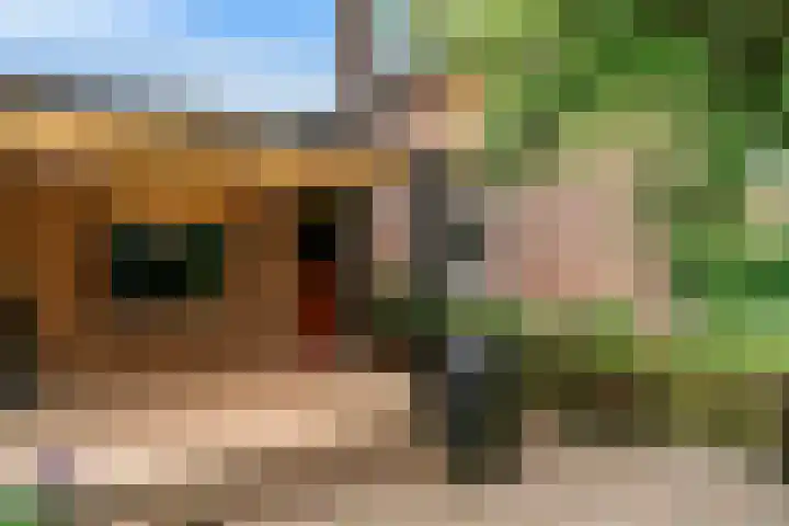 Kerkweg 30 Puth thumbnail 33